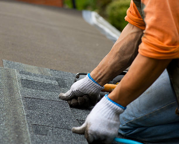 Best Storm Damage Roof Repair  in Dolton, IL