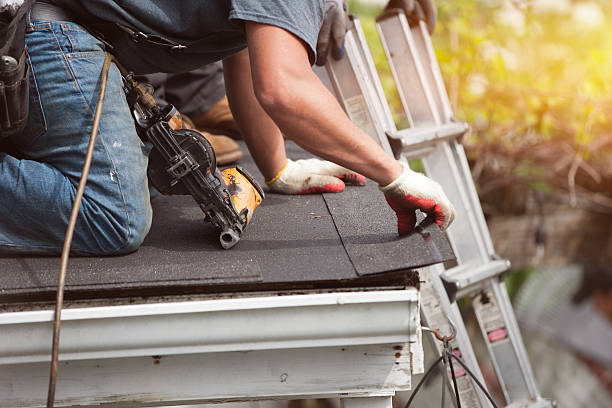 Best Flat Roof Repair Services  in Dolton, IL